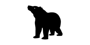 Gastwirtschaft Braun Brauner Bär