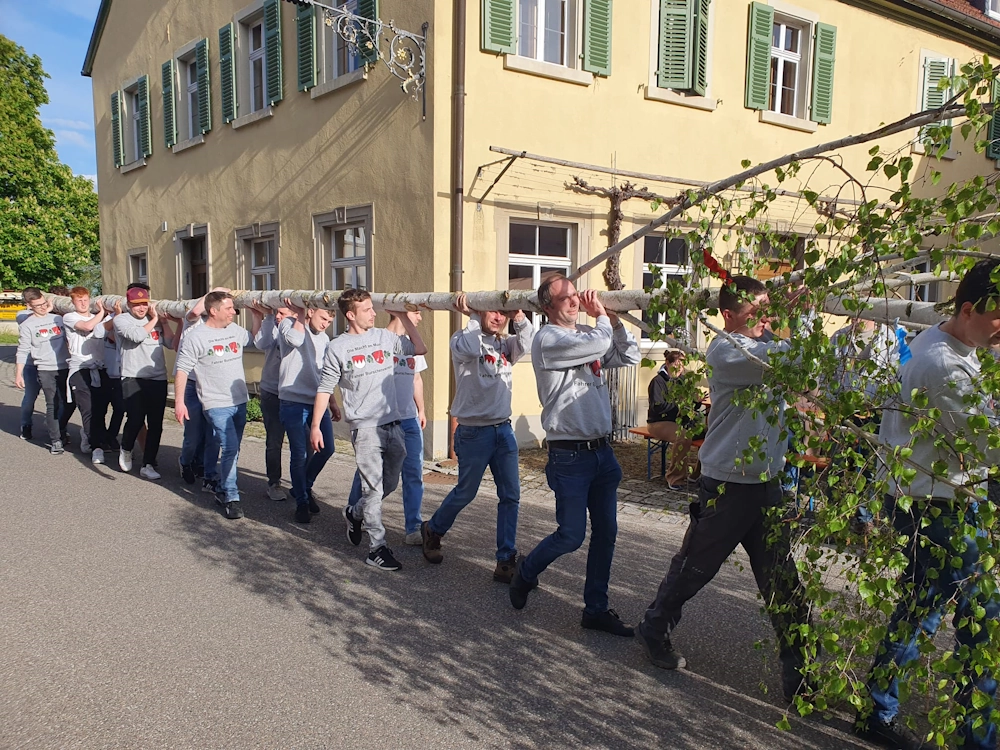 Transport des Maibaums zur Maibaumfeier